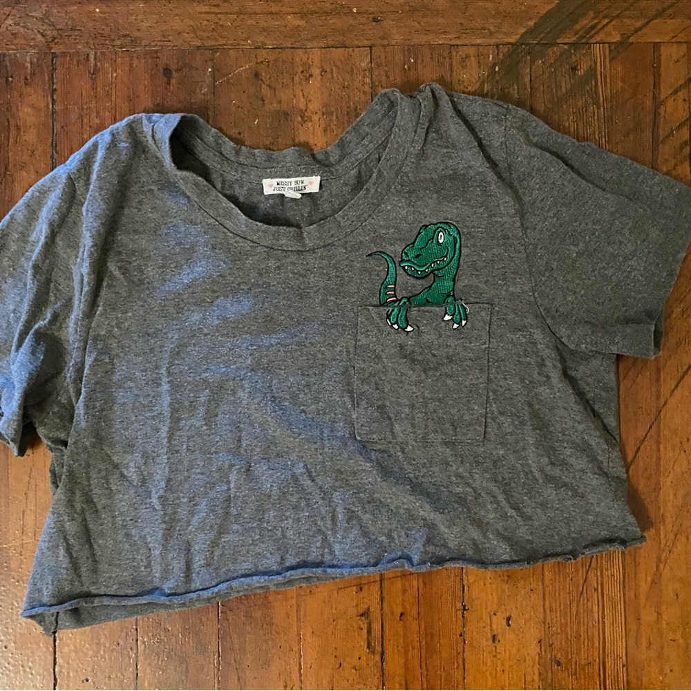 Gray Kids T-Shirt with Dinosaur Design